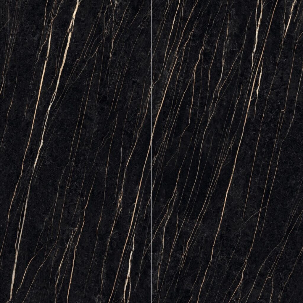 1195321746-Sahara_Noir