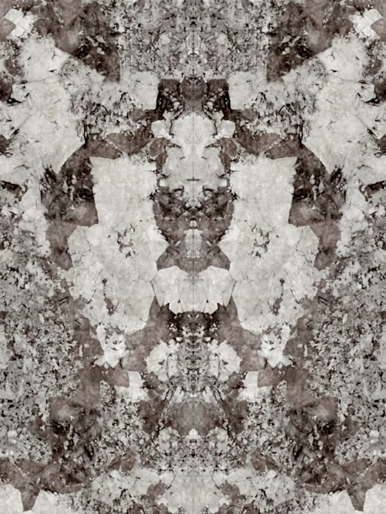 2757812821-Patagonia